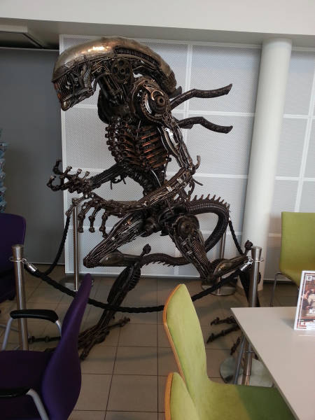 morning picdump 53 pics 4.html - 53 HD Photos | Premium Gallery 2016