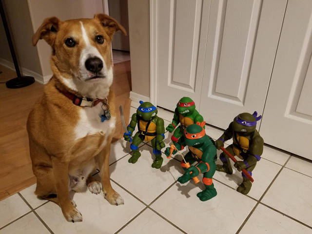 morning picdump 53 pics 4.html - 53 HD Photos | Premium Gallery 2016