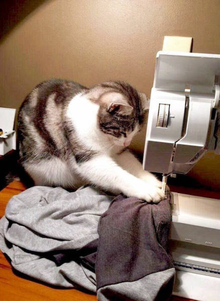 morning picdump 53 pics 4.html - 53 HD Photos | Premium Gallery 2016