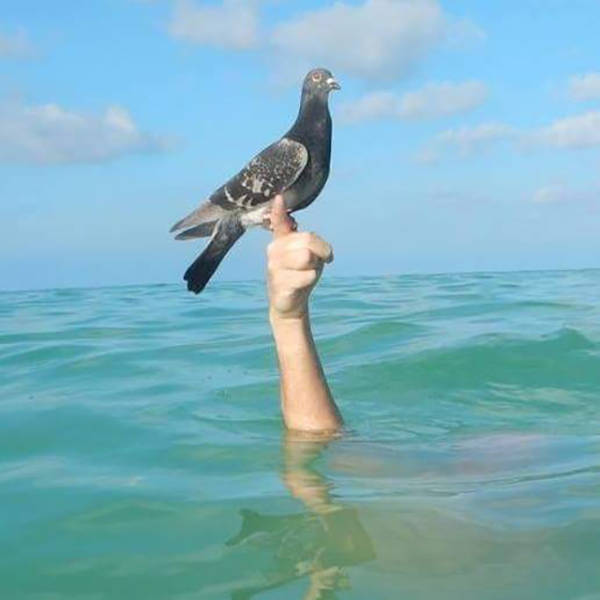 morning picdump 51 pics 5.html - 51 HD Photos | Premium Gallery 2016