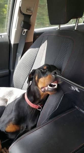 morning picdump 51 pics 5.html - 51 HD Photos | Premium Gallery 2016