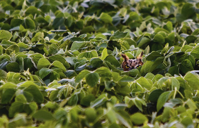 morning picdump 51 pics 5.html - 51 HD Photos | Premium Gallery 2016