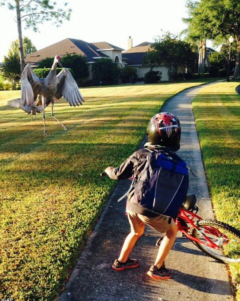 morning picdump 51 pics 5.html - 51 HD Photos | Premium Gallery 2016