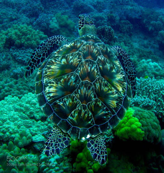 morning picdump 51 pics 5.html - 51 HD Photos | Premium Gallery 2016