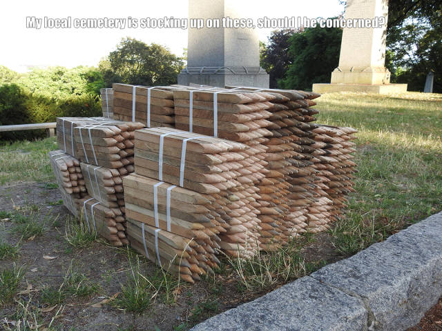 morning picdump 51 pics 5.html - 51 HD Photos | Premium Gallery 2016