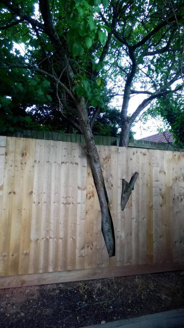 morning picdump 51 pics 5.html - 51 HD Photos | Premium Gallery 2016