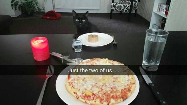 daily picdump 101 pics 25.html - 101 HD Photos | Premium Gallery 2016