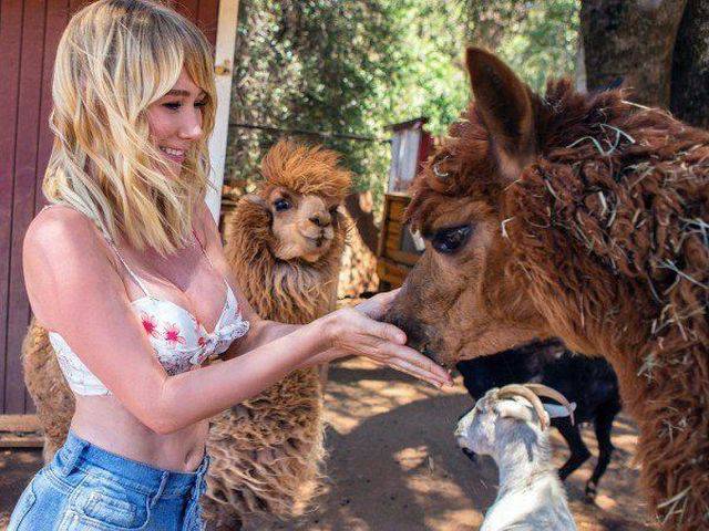 daily picdump 101 pics 25.html - 101 HD Photos | Premium Gallery 2016