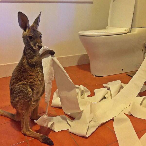 daily picdump 101 pics 25.html - 101 HD Photos | Premium Gallery 2016