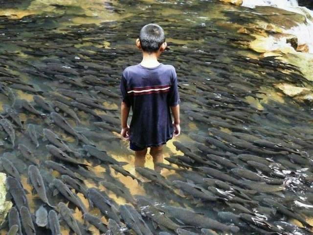 daily picdump 101 pics 25.html - 101 HD Photos | Premium Gallery 2016