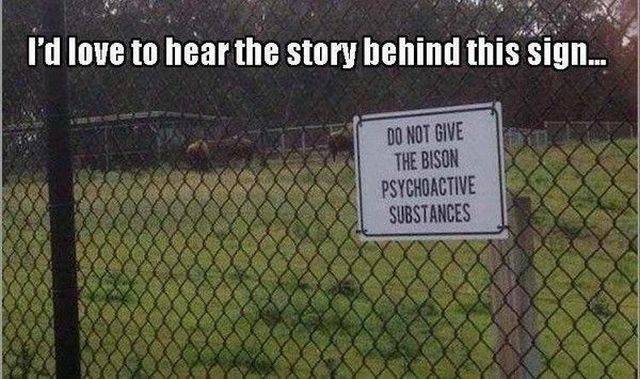 daily picdump 101 pics 25.html - 101 HD Photos | Premium Gallery 2016