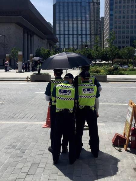 daily picdump 101 pics 25.html - 101 HD Photos | Premium Gallery 2016