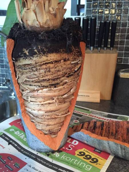 daily picdump 101 pics 25.html - 101 HD Photos | Premium Gallery 2016