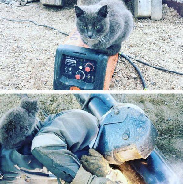 daily picdump 101 pics 25.html - 101 HD Photos | Premium Gallery 2016