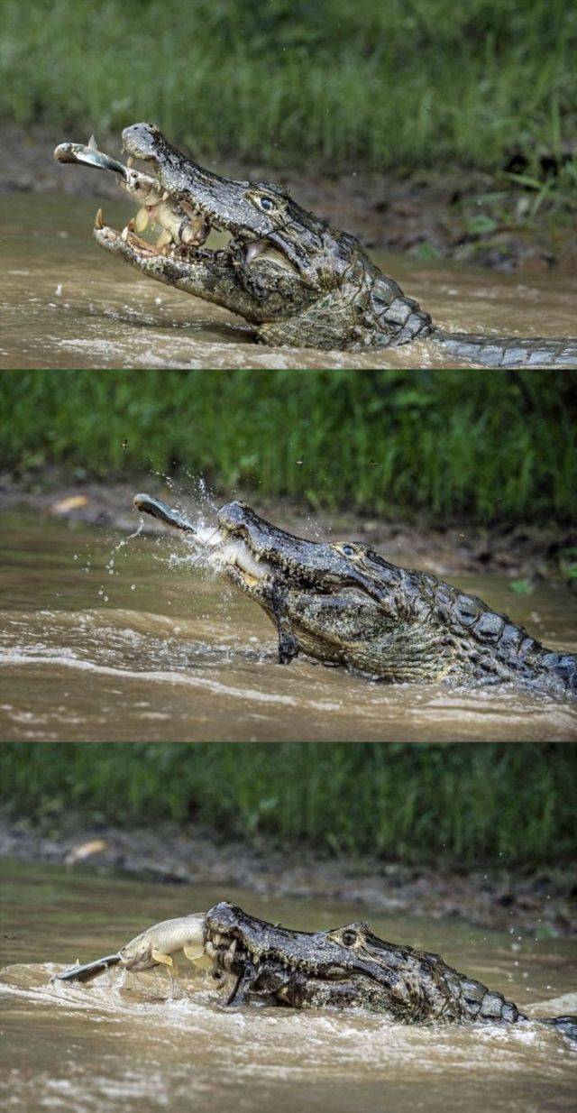 daily picdump 101 pics 25.html - 101 HD Photos | Premium Gallery 2016