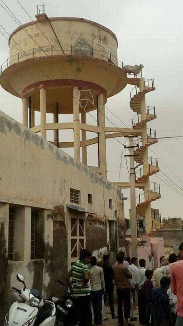 daily picdump 101 pics 25.html - 101 HD Photos | Premium Gallery 2016