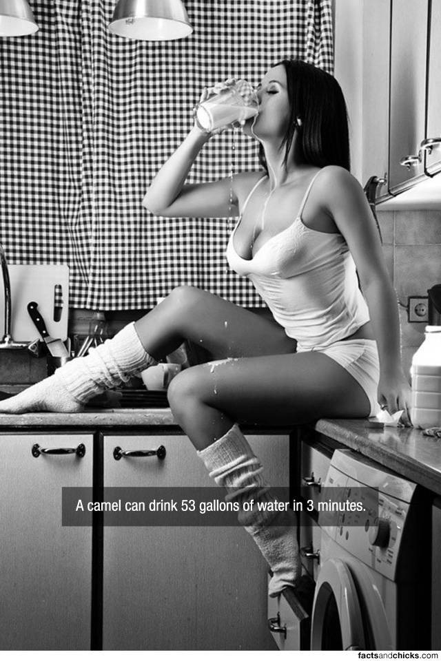 Facts are Best Served with Hot Chicks