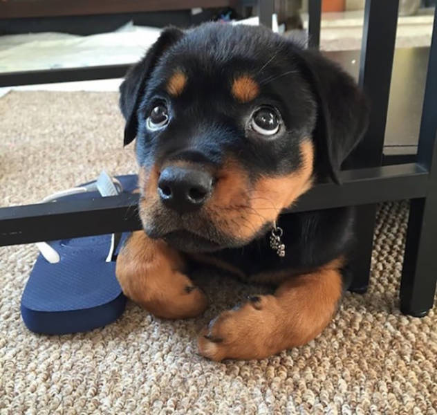 morning picdump 51 pics 22.html - 51 HD Photos | Premium Gallery 2016