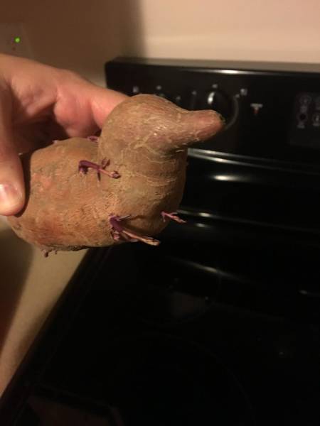 morning picdump 51 pics 22.html - 51 HD Photos | Premium Gallery 2016