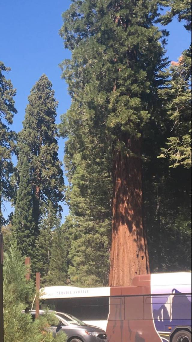 morning picdump 51 pics 22.html - 51 HD Photos | Premium Gallery 2016