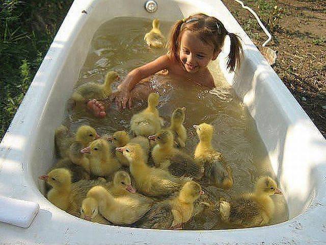 daily picdump 99 pics 7.html - 99 HD Photos | Premium Gallery 2016