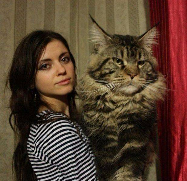 daily picdump 99 pics 7.html - 99 HD Photos | Premium Gallery 2016