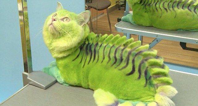 daily picdump 99 pics 7.html - 99 HD Photos | Premium Gallery 2016