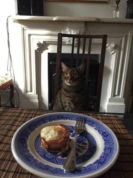 daily picdump 99 pics 7.html - 99 HD Photos | Premium Gallery 2016