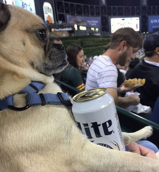 daily picdump 99 pics 7.html - 99 HD Photos | Premium Gallery 2016