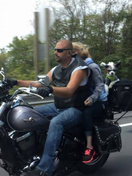 daily picdump 99 pics 7.html - 99 HD Photos | Premium Gallery 2016