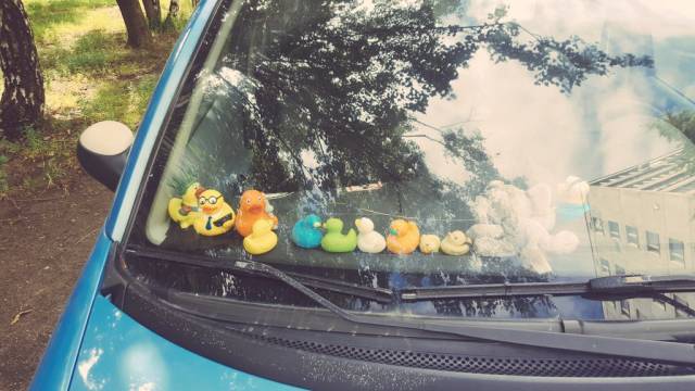 morning picdump 50 pics 5.html - 50 HD Photos | Premium Gallery 2016