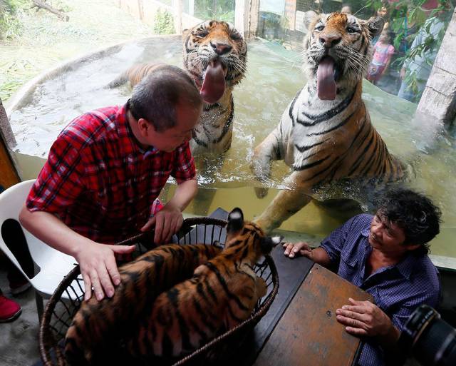 morning picdump 50 pics 5.html - 50 HD Photos | Premium Gallery 2016