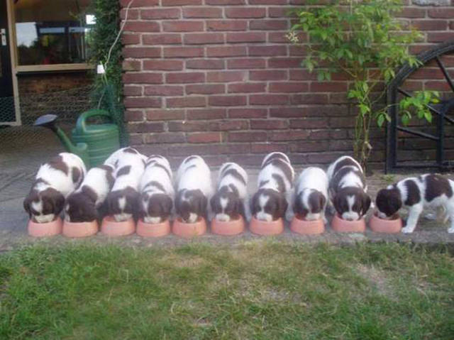 morning picdump 50 pics 5.html - 50 HD Photos | Premium Gallery 2016