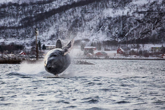 morning picdump 52 pics 9.html - 52 HD Photos | Premium Gallery 2016