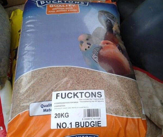 morning picdump 52 pics 9.html - 52 HD Photos | Premium Gallery 2016