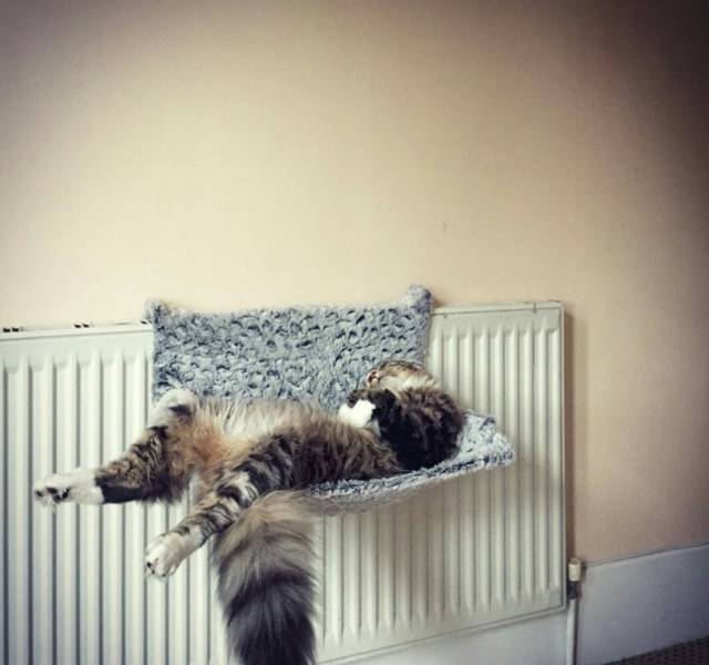 morning picdump 52 pics 9.html - 52 HD Photos | Premium Gallery 2016