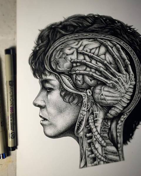 morning picdump 52 pics 9.html - 52 HD Photos | Premium Gallery 2016