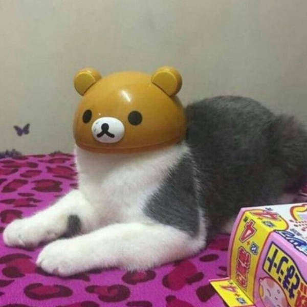 morning picdump 52 pics 9.html - 52 HD Photos | Premium Gallery 2016