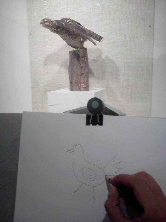 morning picdump 52 pics 9.html - 52 HD Photos | Premium Gallery 2016