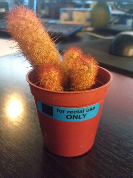 morning picdump 51 pics 3.html - 51 HD Photos | Premium Gallery 2016