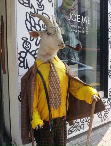 morning picdump 51 pics 3.html - 51 HD Photos | Premium Gallery 2016