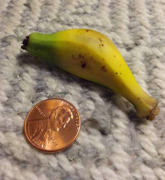 morning picdump 53 pics 14.html - 53 HD Photos | Premium Gallery 2016