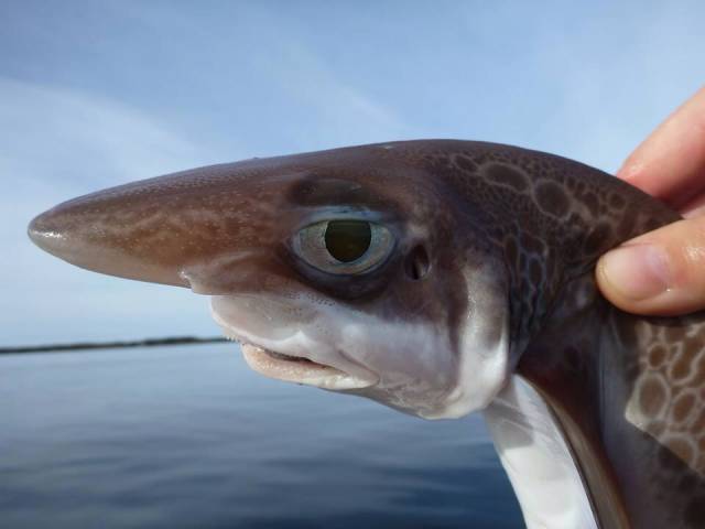 morning picdump 53 pics 14.html - 53 HD Photos | Premium Gallery 2016