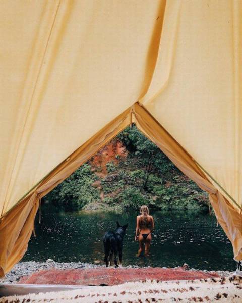 daily picdump 94 pics 5.html - 94 HD Photos | Premium Gallery 2016