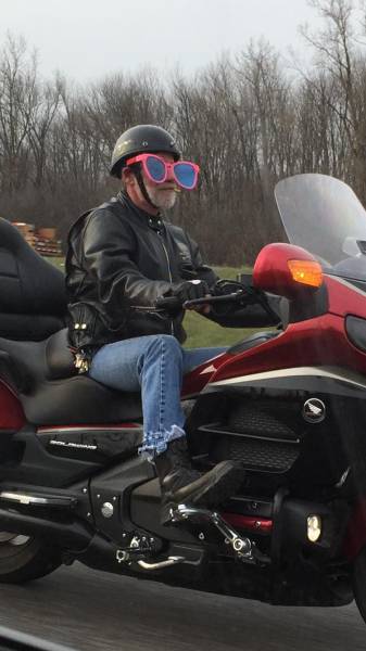 daily picdump 94 pics 5.html - 94 HD Photos | Premium Gallery 2016