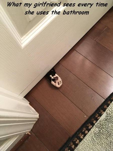 daily picdump 94 pics 5.html - 94 HD Photos | Premium Gallery 2016