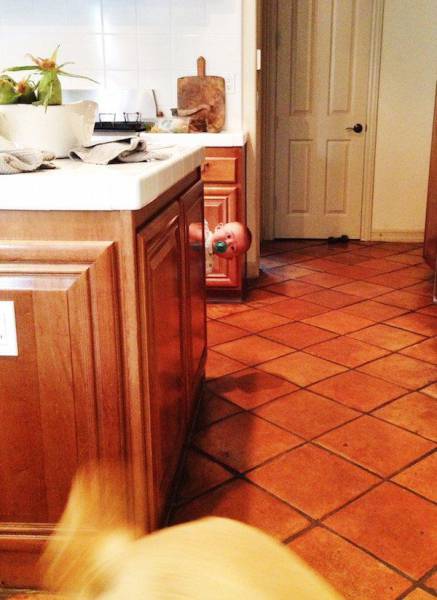 daily picdump 94 pics 5.html - 94 HD Photos | Premium Gallery 2016