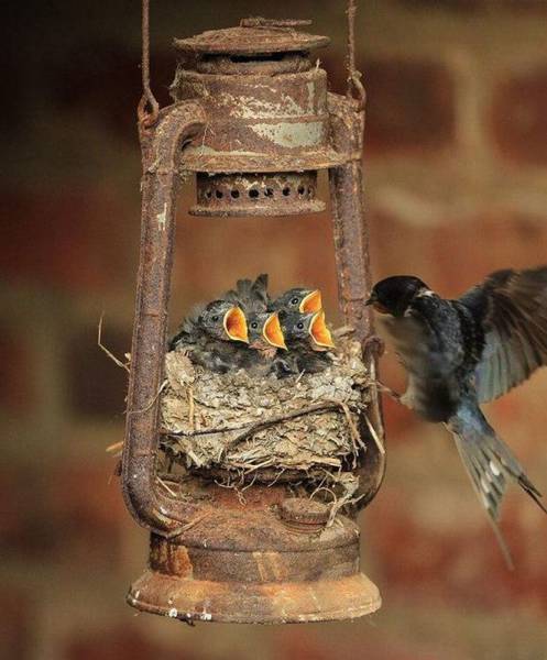 daily picdump 94 pics 5.html - 94 HD Photos | Premium Gallery 2016