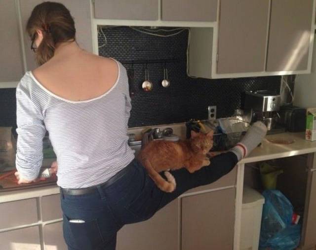 daily picdump 94 pics 5.html - 94 HD Photos | Premium Gallery 2016