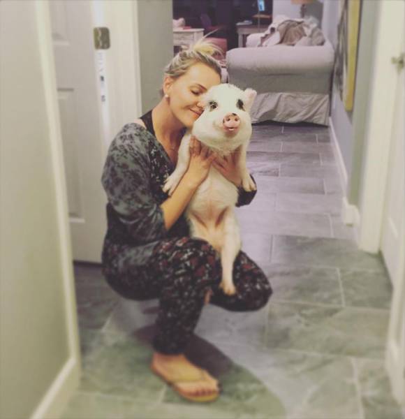 daily picdump 94 pics 5.html - 94 HD Photos | Premium Gallery 2016